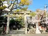 八坂神社の鳥居