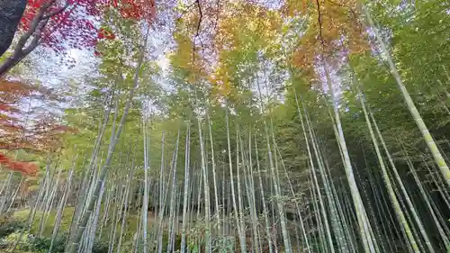 天龍寺(京都府)