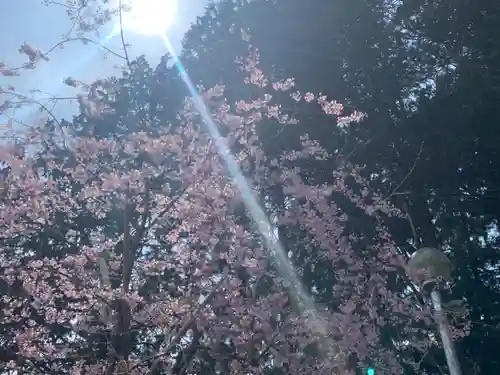 神場山神社の自然