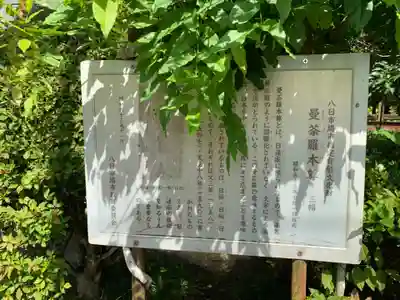 妙福寺(千葉県)