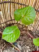 土津神社|こどもと出世の神さまの庭園