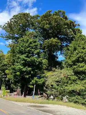 高司神社〜むすびの神の鎮まる社〜(福島県)