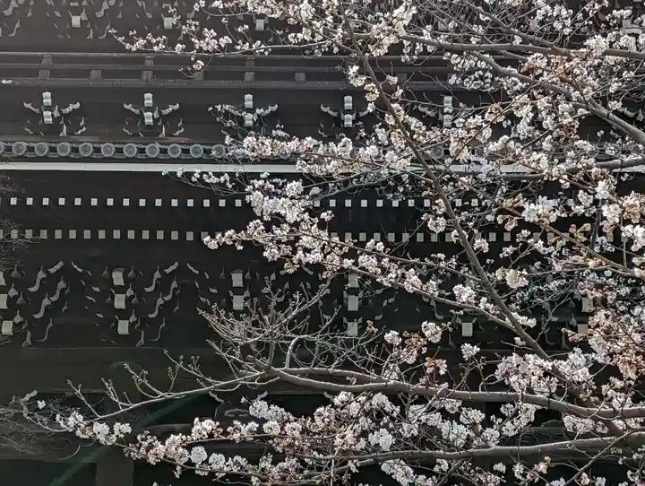 くろ谷 金戒光明寺(京都府)