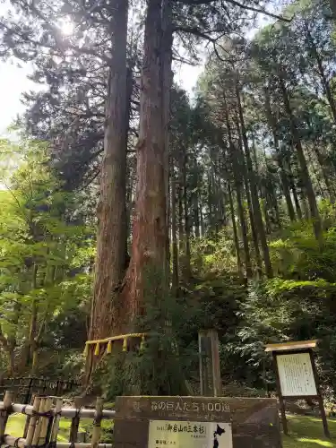 御岩神社の{uncategorized: "未分類", other: "その他", undefined: "問題あり", building: "その他建物", grave: "お墓", sacred_gate: "鳥居", guardian: "狛犬", statue: "像", buddha: "仏像", history: "歴史", nature: "自然", garden: "庭園", animal: "動物", pagoda: "塔", temizu: "手水舎", mountain_gate: "山門・神門", sanctuary: "本殿・本堂", subordinate: "末社・摂社", art: "芸術", scenery: "景色", jizo: "地蔵", ema: "絵馬", goshuin: "御朱印", omikuji: "おみくじ", items: "授与品その他", amulet: "お守り", goshuincho: "御朱印帳", eats: "食事", festival: "お祭り", votive_dance: "神楽", shichigosan: "七五三参", wedding: "結婚式", experience: "体験その他", initially: "初詣", around: "周辺", anti_infection: "感染症対策"}