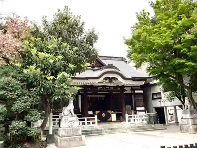鳥越神社(東京都)