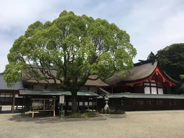 宗像大社の自然