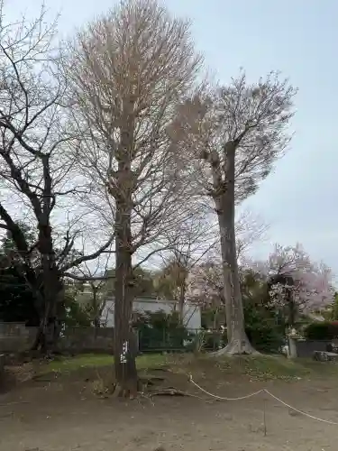 三島神社の{uncategorized: "未分類", other: "その他", undefined: "問題あり", building: "その他建物", grave: "お墓", sacred_gate: "鳥居", guardian: "狛犬", statue: "像", buddha: "仏像", history: "歴史", nature: "自然", garden: "庭園", animal: "動物", pagoda: "塔", temizu: "手水舎", mountain_gate: "山門・神門", sanctuary: "本殿・本堂", subordinate: "末社・摂社", art: "芸術", scenery: "景色", jizo: "地蔵", ema: "絵馬", goshuin: "御朱印", omikuji: "おみくじ", items: "授与品その他", amulet: "お守り", goshuincho: "御朱印帳", eats: "食事", festival: "お祭り", votive_dance: "神楽", shichigosan: "七五三参", wedding: "結婚式", experience: "体験その他", initially: "初詣", around: "周辺", anti_infection: "感染症対策"}