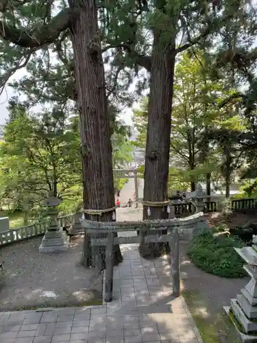 八幡朝見神社の自然