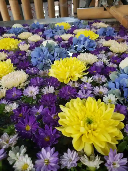 高円寺氷川神社(東京都)