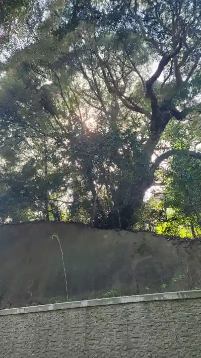 猿田神社の{uncategorized: "未分類", other: "その他", undefined: "問題あり", building: "その他建物", grave: "お墓", sacred_gate: "鳥居", guardian: "狛犬", statue: "像", buddha: "仏像", history: "歴史", nature: "自然", garden: "庭園", animal: "動物", pagoda: "塔", temizu: "手水舎", mountain_gate: "山門・神門", sanctuary: "本殿・本堂", subordinate: "末社・摂社", art: "芸術", scenery: "景色", jizo: "地蔵", ema: "絵馬", goshuin: "御朱印", omikuji: "おみくじ", items: "授与品その他", amulet: "お守り", goshuincho: "御朱印帳", eats: "食事", festival: "お祭り", votive_dance: "神楽", shichigosan: "七五三参", wedding: "結婚式", experience: "体験その他", initially: "初詣", around: "周辺", anti_infection: "感染症対策"}