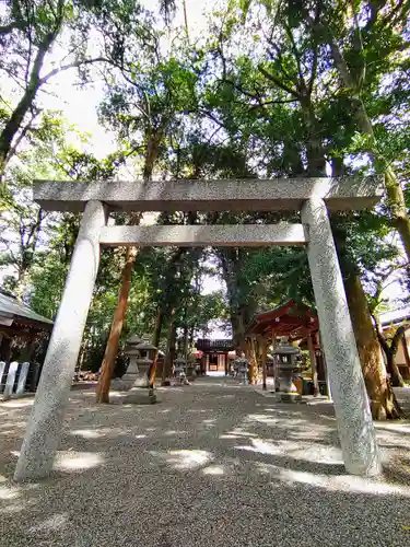 八雲神社（白塚町）の鳥居