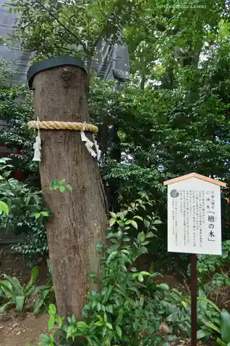 川越八幡宮(埼玉県)