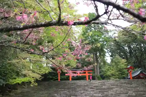霧島神宮(鹿児島県)