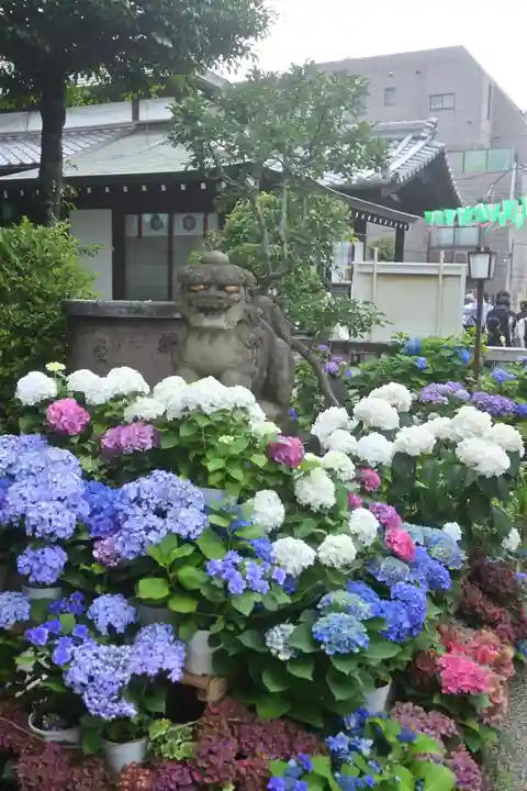 白山神社(東京都)