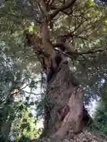 貴船神社(千葉県)