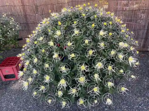 亀戸天神社のその他建物