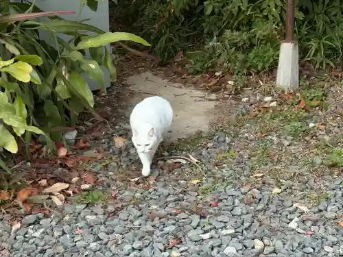 神咒寺(兵庫県)