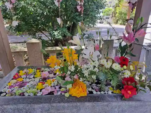 立江八幡神社(徳島県)