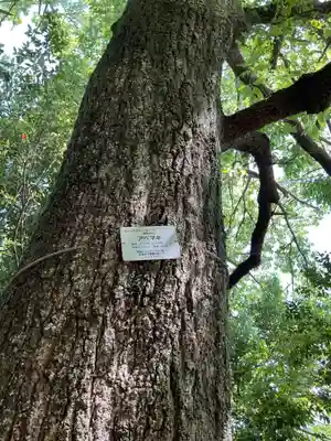 栗栖神社(愛知県)