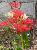 一条山宝蓮寺の自然