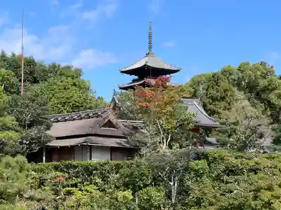 仁和寺(京都府)