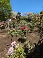 禅定院(東京都)