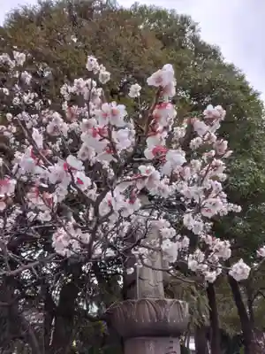 川崎大師（平間寺）(神奈川県)