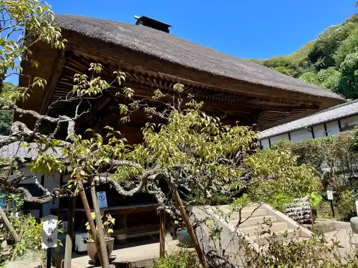 佛日庵(神奈川県)