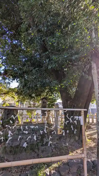(上桂)御霊神社(京都府)