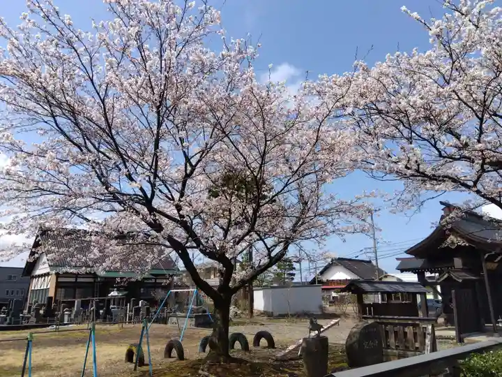 常国寺(新潟県)