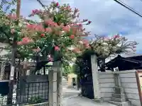 宝性寺(埼玉県)