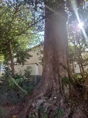 日枝神社（新戸）(神奈川県)