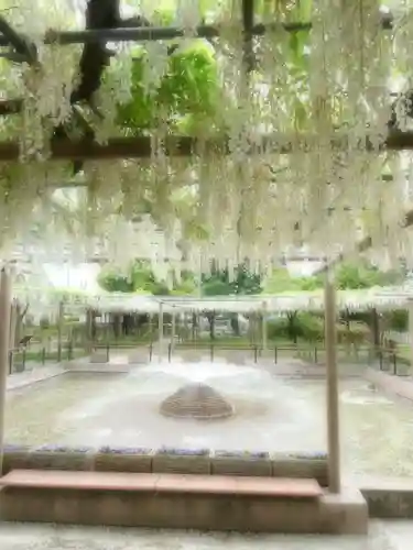 曼陀羅寺の庭園