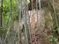 鹿島神社の周辺