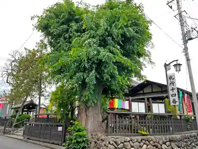 今宮坊(埼玉県)