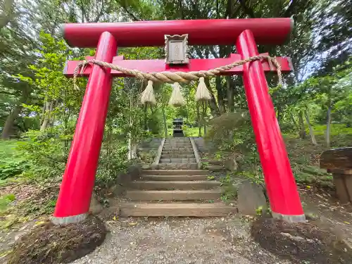 曽我浅間神社(静岡県)