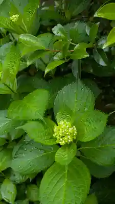 尊陽院(京都府)