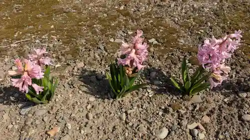 極楽寺の自然