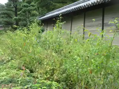 中宮寺(奈良県)