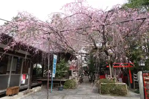 水火天満宮の庭園