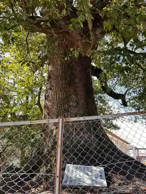 一之御前社(愛知県)