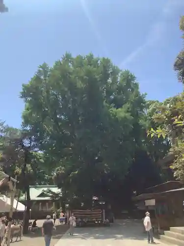 平塚八幡宮(神奈川県)