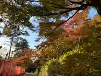 普門寺(切り絵御朱印発祥の寺)の自然