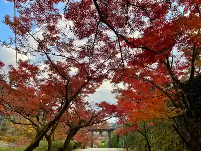 仁比山神社(佐賀県)