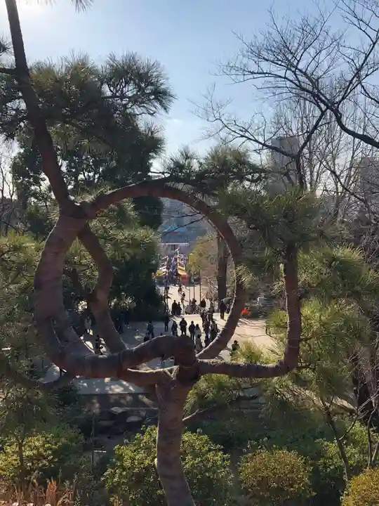 清水観音堂の庭園