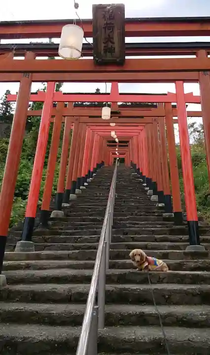 浮羽稲荷神社の{uncategorized: "未分類", other: "その他", undefined: "問題あり", building: "その他建物", grave: "お墓", sacred_gate: "鳥居", guardian: "狛犬", statue: "像", buddha: "仏像", history: "歴史", nature: "自然", garden: "庭園", animal: "動物", pagoda: "塔", temizu: "手水舎", mountain_gate: "山門・神門", sanctuary: "本殿・本堂", subordinate: "末社・摂社", art: "芸術", scenery: "景色", jizo: "地蔵", ema: "絵馬", goshuin: "御朱印", omikuji: "おみくじ", items: "授与品その他", amulet: "お守り", goshuincho: "御朱印帳", eats: "食事", festival: "お祭り", votive_dance: "神楽", shichigosan: "七五三参", wedding: "結婚式", experience: "体験その他", initially: "初詣", around: "周辺", anti_infection: "感染症対策"}