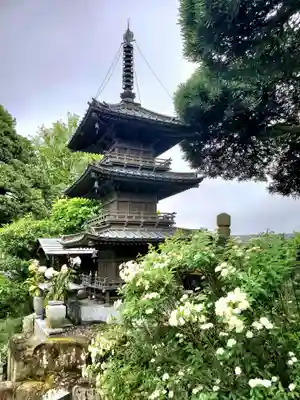 宗建寺(東京都)