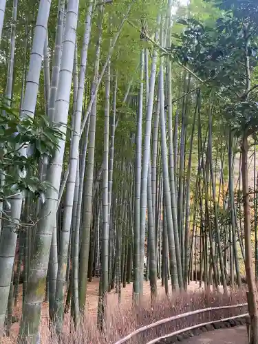 報国寺(神奈川県)