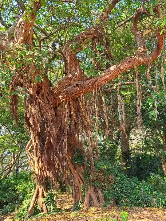 住吉神社(長崎県)