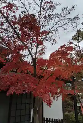 八坂神社(祇園さん)のその他建物